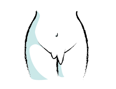 Shapes of hot vagina pcs