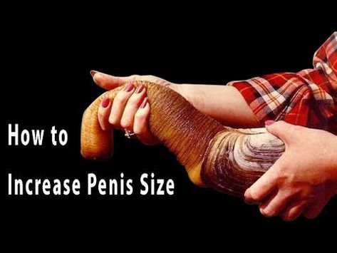 Can penises change size