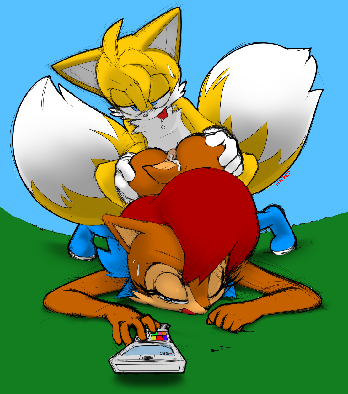 Sally acorn and tails porn
