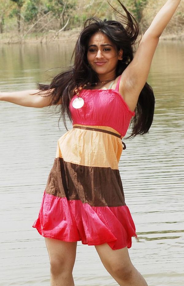 Telugu actress aksha pussy