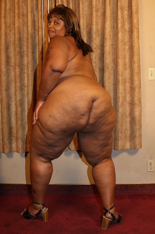 Black fat girls big ssbbw ass sex