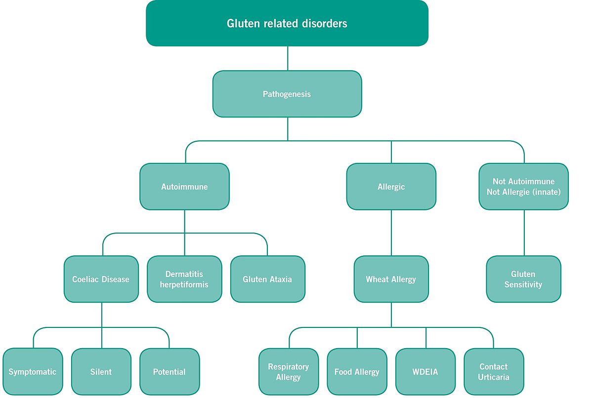 Wheat gluten adults symptoms allergy