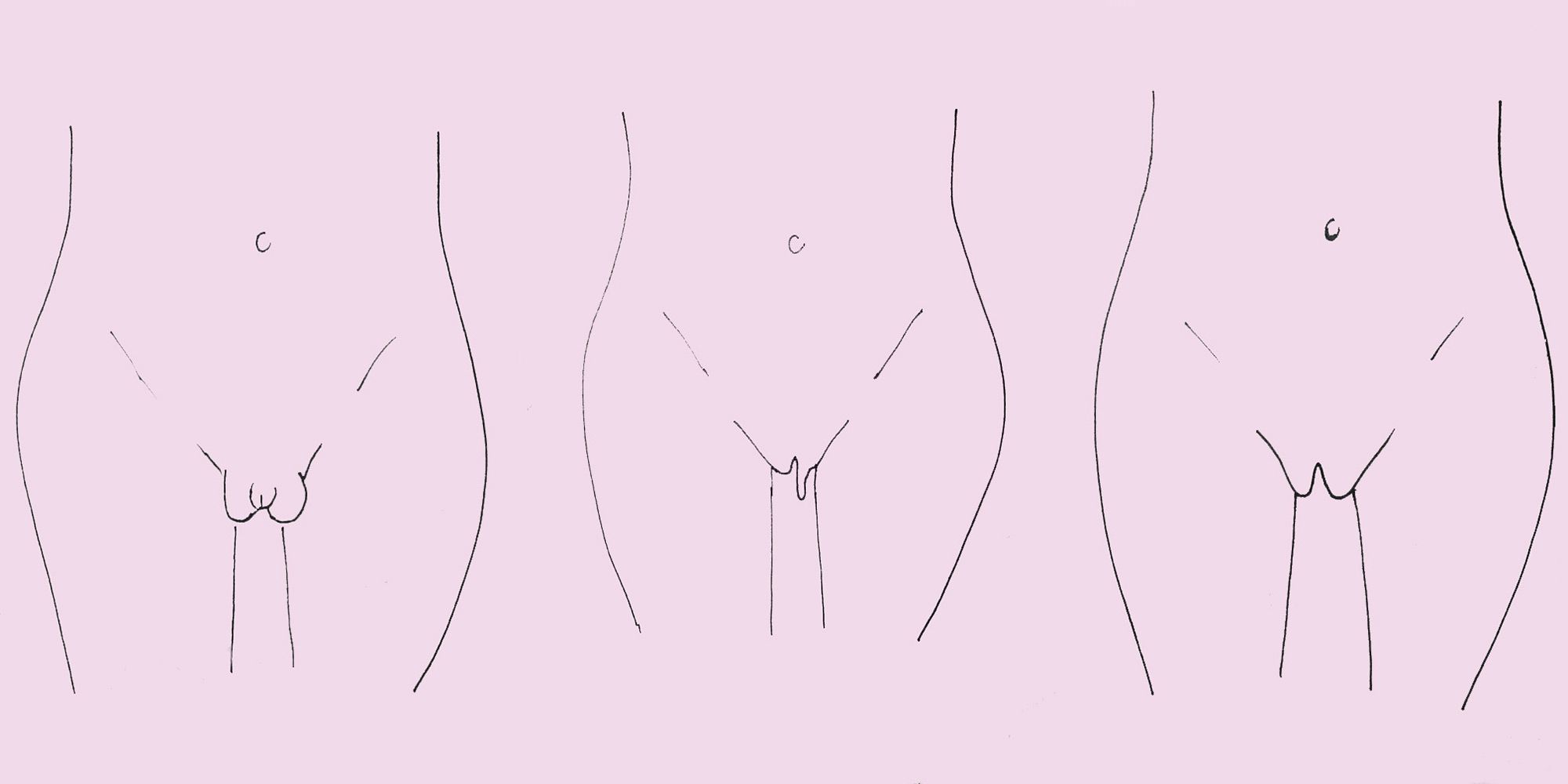 Picture of different types of pussy and size