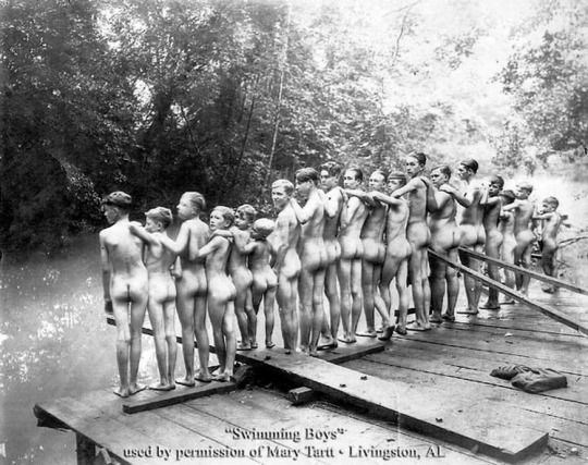 Nude swimming boys photo