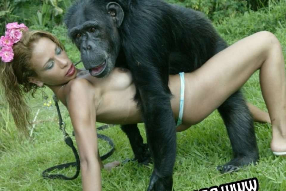 Monkey fucks girl woman