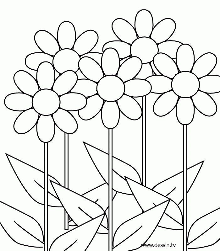 Printable flowers coloring pages for girls