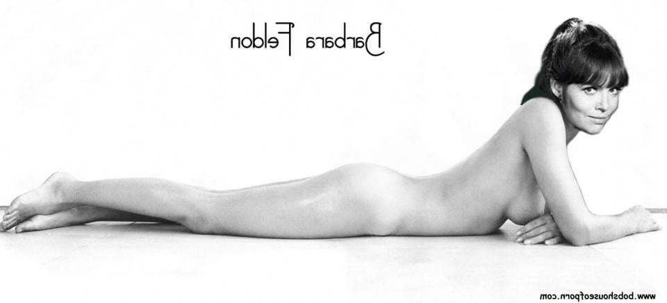 Naked barbara feldon nude