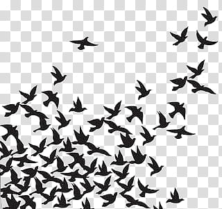 Flying bird clip art black and white